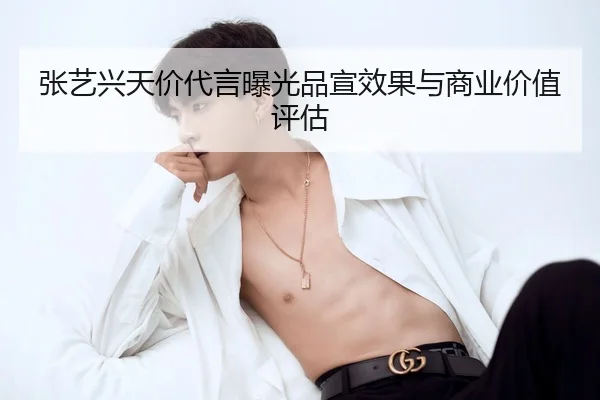 zhang-yi-xing-tian-jia-dai-yan-bao-guang-pin-xuan-xiao-guo-yu-shang-ye-jia-zhi-ping-gu-2-155.jpg