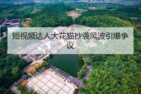 短视频达人大花猫抄袭风波引爆争议
